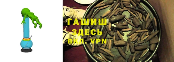 хмурый Белокуриха