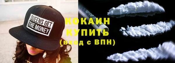 хмурый Белокуриха