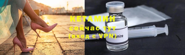 хмурый Белокуриха