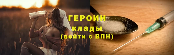 хмурый Белокуриха
