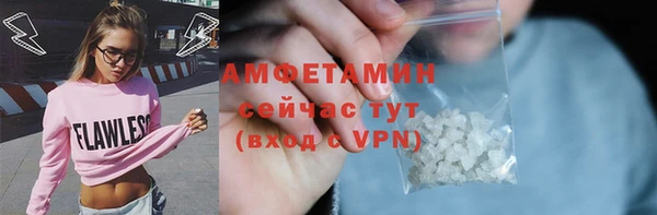 хмурый Белокуриха