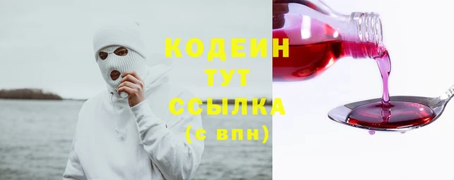хмурый Белокуриха