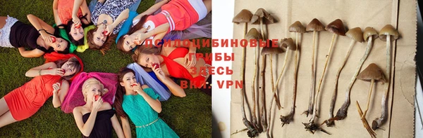 марихуана Беломорск