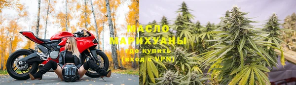 хмурый Белокуриха