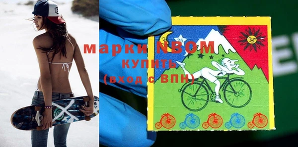 хмурый Белокуриха