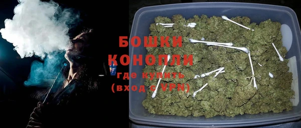 хмурый Белокуриха