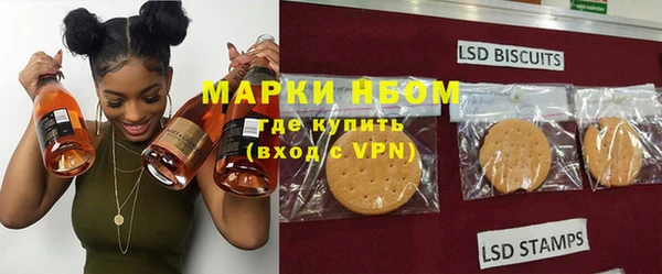 хмурый Белокуриха