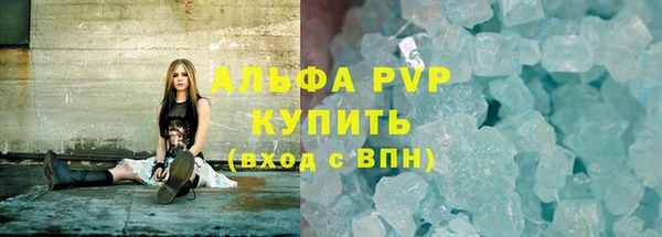 хмурый Белокуриха