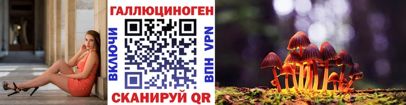 Псилоцибиновые грибы Psilocybe  Павловск 