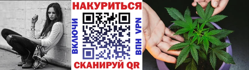 продажа наркотиков  Павловск  Марихуана VHQ 
